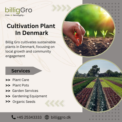 Cultivation Plant.jpg
