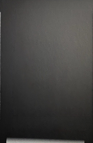 175.jpg