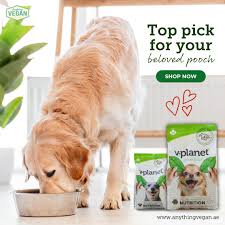 Vegetarian Dog Food Dubai.jpg