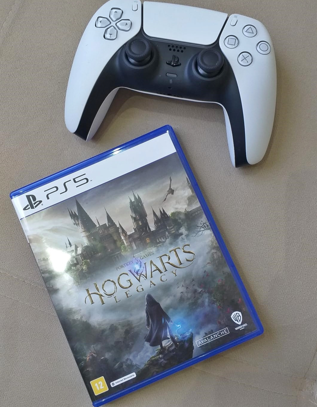 Hogwarts Legacy – PlayStation 5