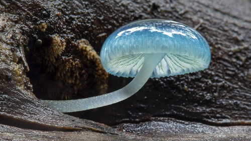 GZLR87CWIAA2M N?format=jpg.jpg