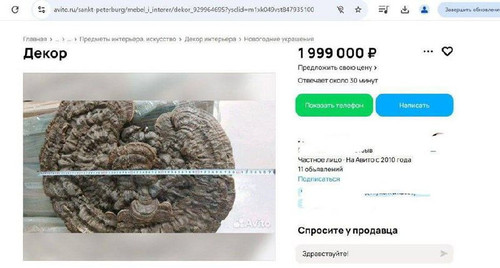 K3ijcTF U1ZQ9SSq bJH7I quURvxC u4 iuqang2MosTcIh K2pJZEWdsP I6deGsKHsnqu7yfHrMIFEWUmZzBU8fuvT7SllWjf.jpg