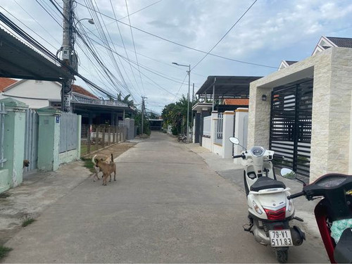 462307585 1089661596064686 1205422388036489864 n.jpg