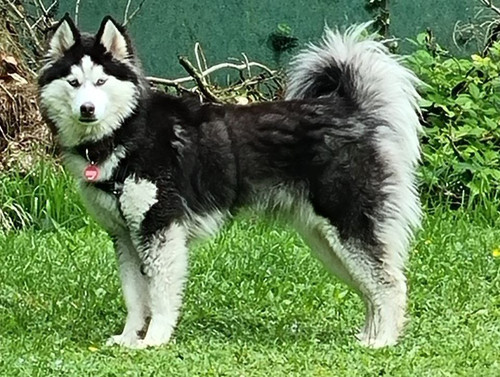 photo 2024 10 08 10 27 43.jpg