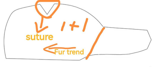 1728311385 1278416.jpg