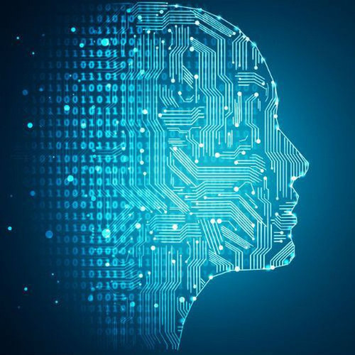 5255899064237668003 1.jpg