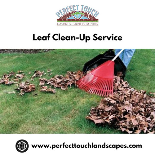 Leaf Clean Up Service.jpg