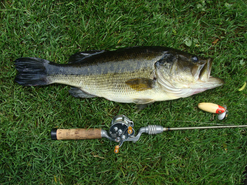 May 29 2011 002.jpg
