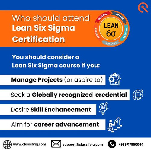 Lean Six Sigma: A Complete Guide to Business Efficiency.jpg