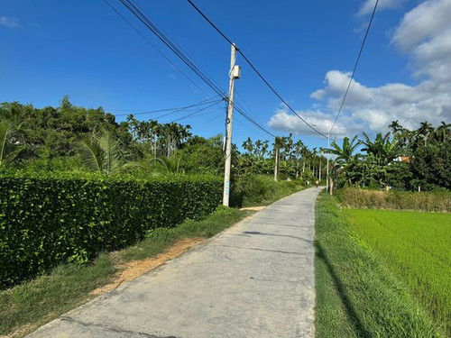 462119108 1881066539026793 336763268909541416 n.jpg