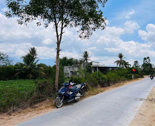 462143194 2821177518051536 9223034949719393482 n.jpg