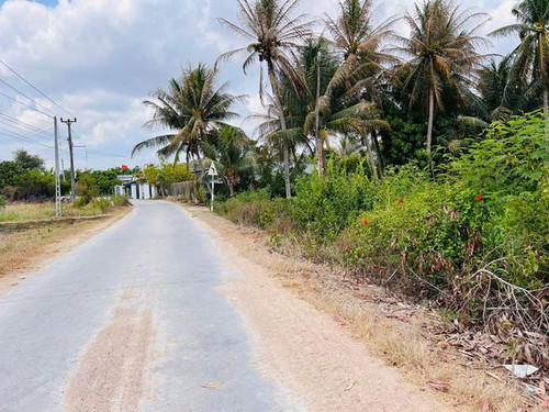 462289263 2821177451384876 4379746242627717707 n.jpg