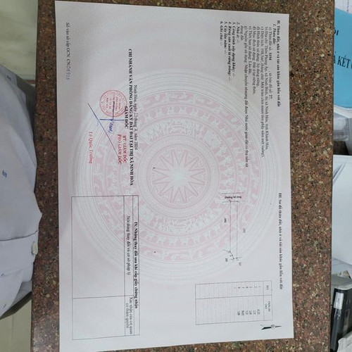 462262173 8425747664179293 1037870808530551120 n.jpg