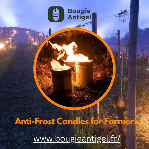Defend Your Fields The Power of Anti Frost Candles in Crop Protection (1).jpg