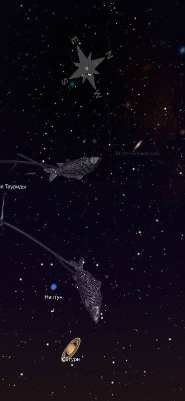 DMcf8wU0449UWVwnBw9Sq utcOoApVhY9ed8V7eiT2VhWGNkKBEF1zaD5 60tpVU3uAQ ofYTiUHlYJidYMF0kVrC9R9O5w0z3KJ.jpg