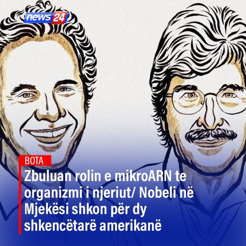 462242970 954158530084441 3650936086787832928 n.jpg?stp=dst jpg p526x296& nc cat=108&ccb=1 7& nc sid.jpg