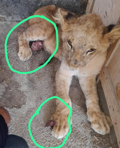 GZNT HpXcAAD5hb?format=jpg.jpg