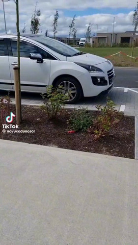 80iR e1Fu7ldPOsj.jpg