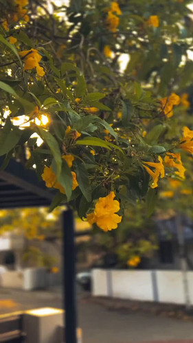 4z U51c O1hh9o5B.jpg