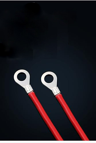 51BYcaR2bWL. SY500 .jpg