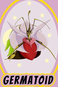 Germatoid.jpg