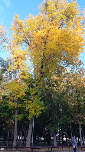 IMG 20241007 175007.jpg