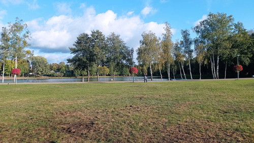 IMG 981c8d38faa5ca6826ae808f86df4f66 V.jpg