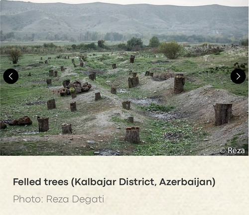 GZTHDcvXgAA 4T2?format=jpg.jpg