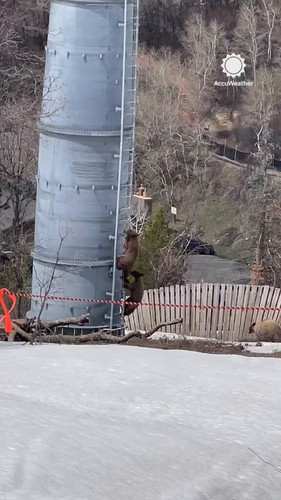 gG2DwBUnSL4aGb x.jpg