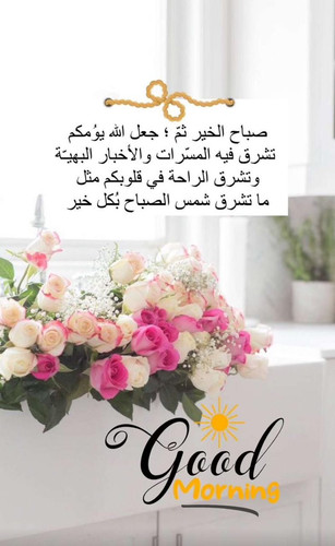 GZVK1X2XIAA6Fa ?format=jpg.jpg