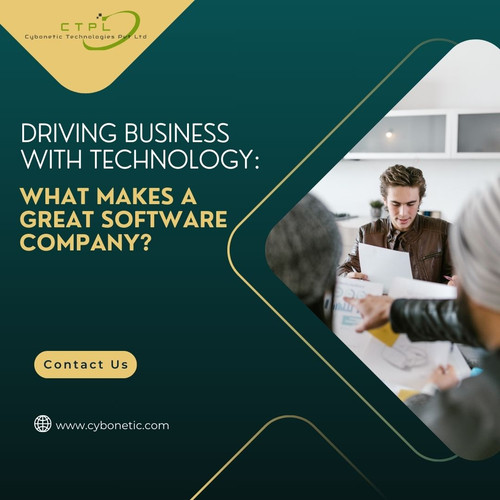 Driving Business with Technology: What Makes a Great Software Company?.jpg