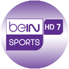bein7q big copy.png
