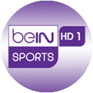 bein1q big copy.png