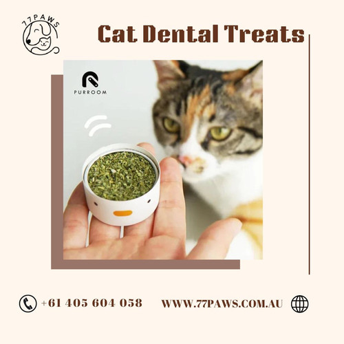 Buy Cat Dental Treats Online At 77 Paws.jpg