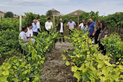 462226599 933669708793881 527741388074468159 n.jpg?stp=dst jpg p526x395& nc cat=109&ccb=1 7& nc sid=.jpg