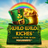 0028355 wild wild riches megaways 415.png