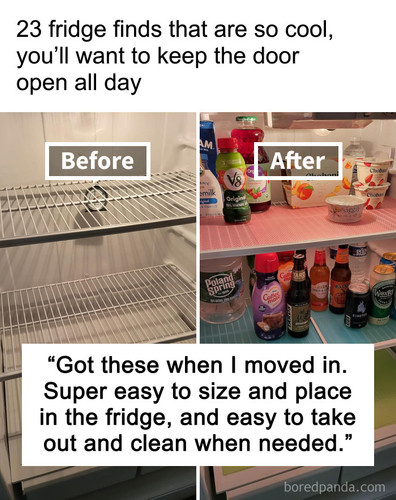 fridge gadgets.jpg