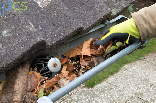 Gutter Cleaning Auckland.jpg