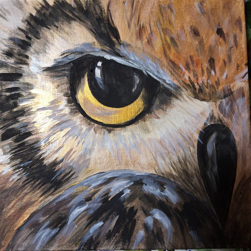 1728330330 720983961.jpg