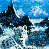 612b92dc9b0f86e13e85cb13ff240d60.gif