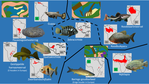 Bush (Waterdieren).png