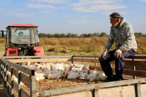 Cqi84mbrZBTB7 rrsIlgJmjTIeer7a snvt3CRHBlV00peBxwF9VhAorUw gxrVMFoPjUh iGP2qP35BKLiNFEOM 4dmlQX3 wV0.jpg