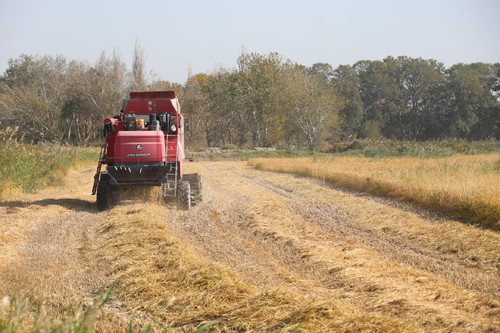 RLnCVRuwdYCiuLtndLZ2OQrHYXqMk HHrrp58 u3M8UBlcd4y9qPADR00xVbu1ibiK3kVHkW6Ygt39gJ9cv2EQtSNRXNrmvm8iz1.jpg