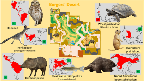 Desert (Verblijven).png