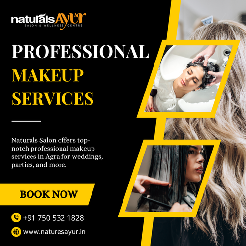 Need a professional makeup artist in Agra?.png