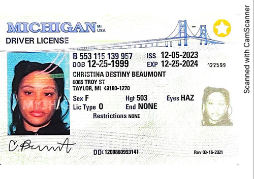 Christina Beaumont license image.jpg