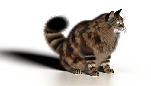 0cb97ae7 b0c5 4a85 966f 40037b660f45.png