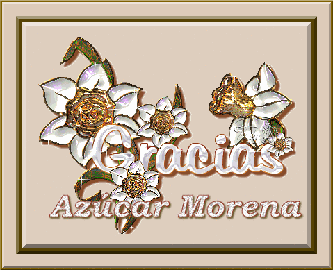 17283502557271525 (2).gif