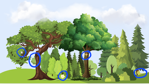 Screen Shot 2024 10 06 at 1 51 05 AM.png