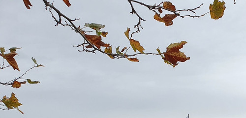 Emo5U ZXUBEQR Q?format=jpg.jpg